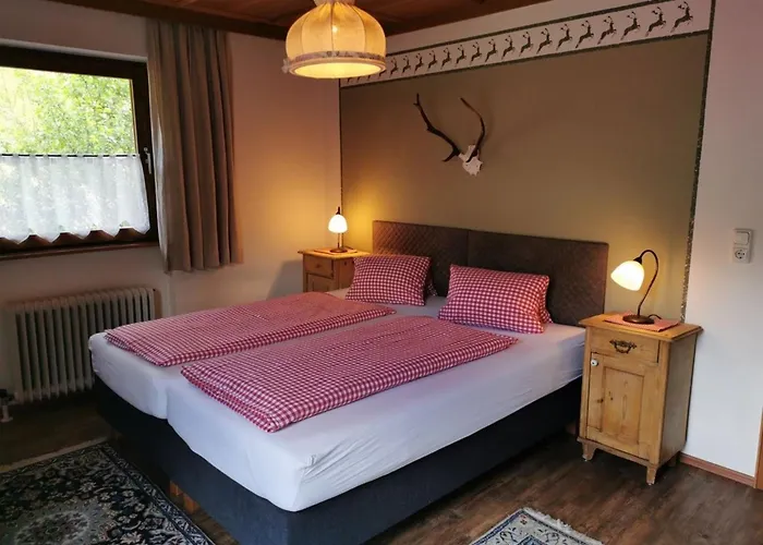 Daringer * 迈尔霍芬