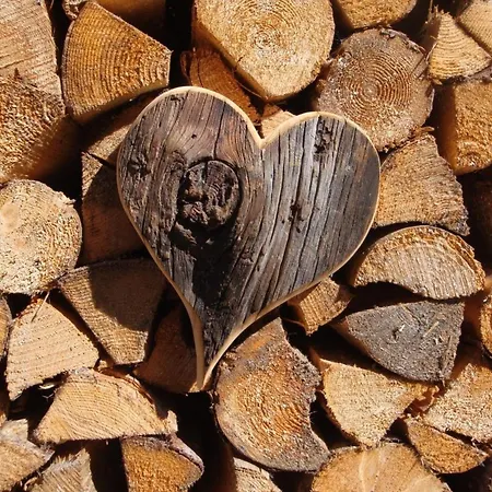 Daringer Сasa de vacaciones