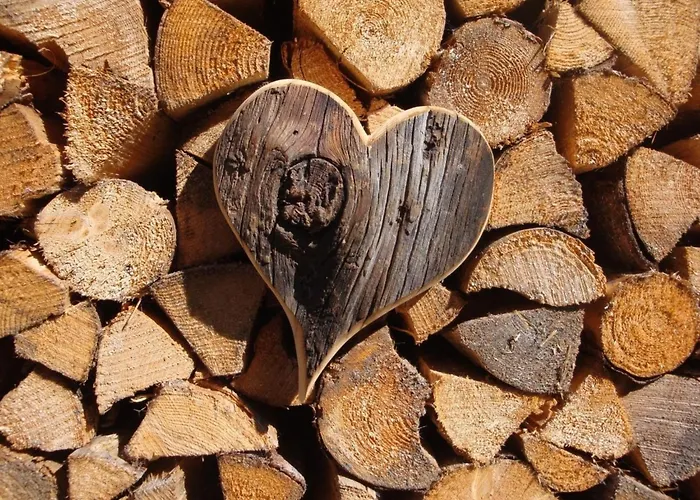 Daringer Сasa de vacaciones